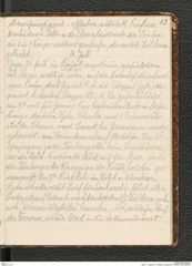 Seite 17, Tagebuch "Palästina (Tagebuch)" (NHMW-PRAE-BBB-80)